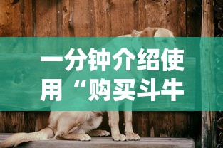 一分钟介绍使用“购买斗牛房卡联系方式”房卡怎么购买