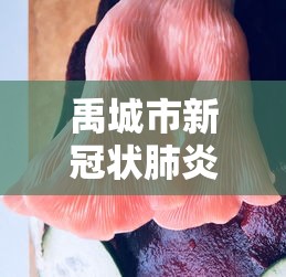 禹城市新冠状肺炎(禹城市新冠状肺炎疫情情况) 禹城市新冠状肺炎(禹城市新冠状肺炎疫情情况)