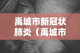 禹城市新冠状肺炎(禹城市新冠状肺炎疫情情况) 禹城市新冠状肺炎(禹城市新冠状肺炎疫情情况)