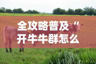 全攻略普及“开牛牛群怎么买房卡”获取房卡教程-哔哩哔哩