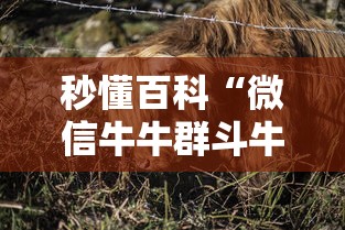 秒懂百科“微信牛牛群斗牛群”详细房卡教程