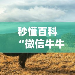 秒懂百科“微信牛牛群斗牛群”详细房卡教程