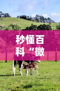 秒懂百科“微信牛牛群斗牛群”详细房卡教程