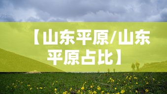 【山东平原/山东平原占比】 【山东平原/山东平原占比】