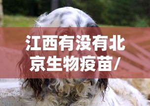 江西有没有北京生物疫苗/江西有疫苗吗