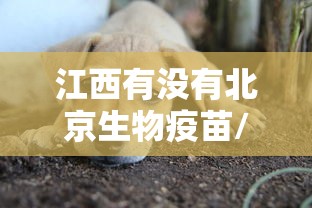 江西有没有北京生物疫苗/江西有疫苗吗