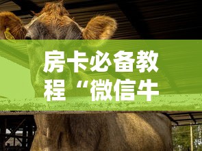 房卡必备教程“微信牛牛群斗牛群”房卡详细充值 房卡必备教程“微信牛牛群斗牛群”房卡详细充值