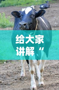 给大家讲解“微信牛牛群斗牛群”详细房卡怎么购买教程 给大家讲解“微信牛牛群斗牛群”详细房卡怎么购买教程