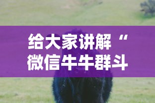 给大家讲解“微信牛牛群斗牛群”详细房卡怎么购买教程 给大家讲解“微信牛牛群斗牛群”详细房卡怎么购买教程