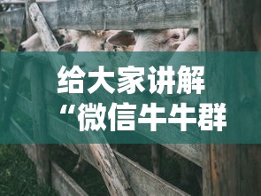 【疫情郑州大学生西安隔离政策,疫情郑州大学生西安隔离政策最新】 【疫情郑州大学生西安隔离政策,疫情郑州大学生西安隔离政策最新】