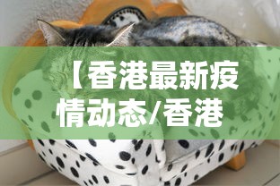 【香港最新疫情动态/香港最新疫情通报】