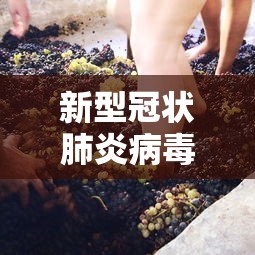 【鸡泽疫情最新消息/鸡泽县属于哪个省份】