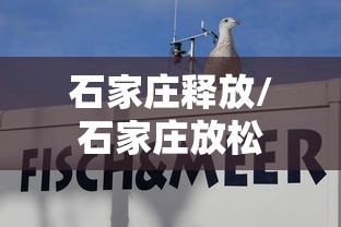 石家庄释放/石家庄放松 石家庄释放/石家庄放松