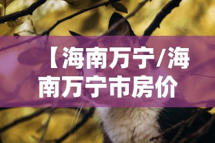 【海南万宁/海南万宁市房价多少钱一平米】 【海南万宁/海南万宁市房价多少钱一平米】