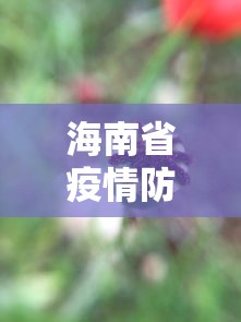 海南省疫情防控动态管控措施/海南省疫情防控动态管控措施有哪些