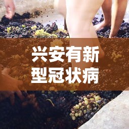 兴安有新型冠状病毒吗?:兴安属于哪 兴安有新型冠状病毒吗?:兴安属于哪