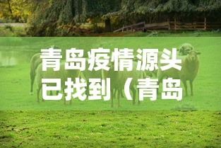 青岛疫情源头已找到(青岛疫情源头查明) 青岛疫情源头已找到(青岛疫情源头查明)