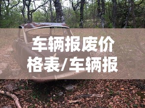车辆报废价格表/车辆报废价格表嗯 胸上边疼是怎么回事儿