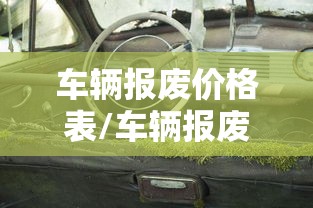 车辆报废价格表/车辆报废价格表嗯 胸上边疼是怎么回事儿