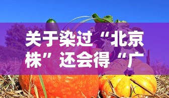 【陕西公布最新疫情/陕西最新疫情病例】 【陕西公布最新疫情/陕西最新疫情病例】