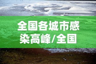 全国各城市感染高峰/全国城市新冠感染排名 全国各城市感染高峰/全国城市新冠感染排名