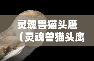【西安新增11例本土确诊病例/西安新增本土确诊3例】