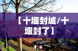 【十堰封城/十堰封了】 【十堰封城/十堰封了】