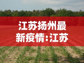 江苏扬州最新疫情:江苏扬州最新疫情轨迹