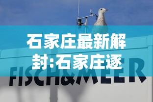 石家庄最新解封:石家庄逐步解封 石家庄最新解封:石家庄逐步解封