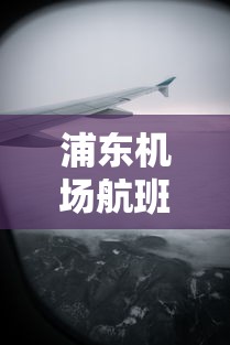 浦东机场航班:浦东机场航班动态查询