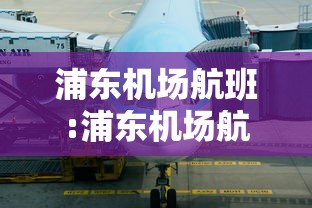 浦东机场航班:浦东机场航班动态查询