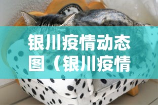 银川疫情动态图（银川疫情最新进展）