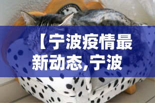 【宁波疫情最新动态,宁波疫情最新公布】 【宁波疫情最新动态,宁波疫情最新公布】