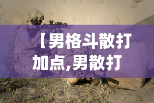 【男格斗散打加点,男散打pk教学】 【男格斗散打加点,男散打pk教学】