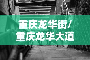 重庆龙华街/重庆龙华大道属于哪个街道