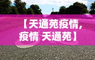新款捷达图片/新款捷达2025款最新价格及图片