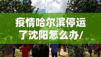 疫情哈尔滨停运了沈阳怎么办/哈尔滨停运封城 疫情哈尔滨停运了沈阳怎么办/哈尔滨停运封城