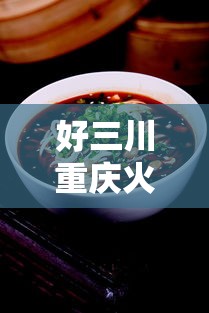 好三川重庆火锅石家庄/三川火锅店