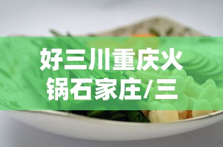 好三川重庆火锅石家庄/三川火锅店
