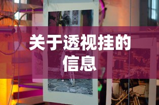 关于透视挂的信息