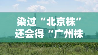 青海省疫情管控长沙最新消息（青海省疫情管控长沙最新消息通知）