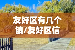 友好区有几个镇/友好区信息网 友好区有几个镇/友好区信息网