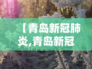 【青岛新冠肺炎,青岛新冠肺炎死亡】 【青岛新冠肺炎,青岛新冠肺炎死亡】
