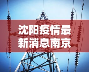 沈阳疫情最新消息南京/沈阳新增 南京 沈阳疫情最新消息南京/沈阳新增 南京