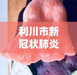 利川市新冠状肺炎情况:利川市疫情 利川市新冠状肺炎情况:利川市疫情