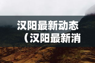 汉阳最新动态(汉阳最新消息) 汉阳最新动态(汉阳最新消息)