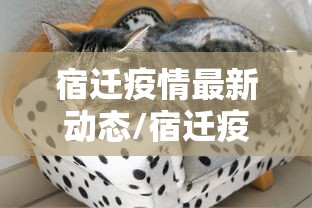 宿迁疫情最新动态/宿迁疫情最新消息今天新增 宿迁疫情最新动态/宿迁疫情最新消息今天新增