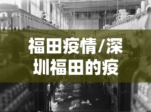 福田疫情/深圳福田的疫情