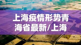 上海疫情形势青海省最新/上海疫情详情分布 上海疫情形势青海省最新/上海疫情详情分布
