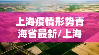 上海疫情形势青海省最新/上海疫情详情分布 上海疫情形势青海省最新/上海疫情详情分布